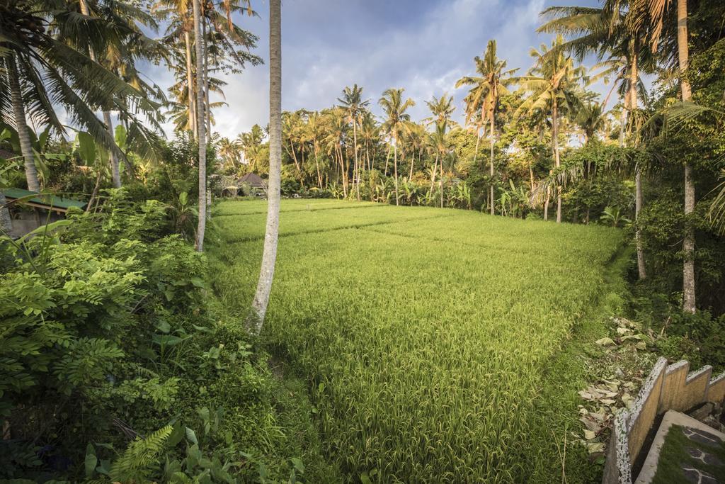 Junjungan Serenity Ubud Villa & Spa Екстериор снимка